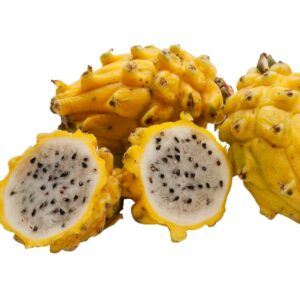 Pitahaya de exportación